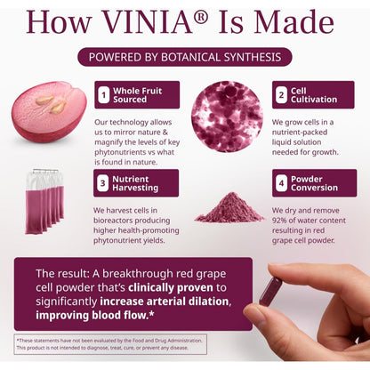 VINIA Piceid Resveratrol Capsules. Increases Blood Flow & Nitric Oxid Production. Healthy Blood Pressure & Heart Health Support* | Red Grape Polyphenol Antioxidant Supplement | Non-GMO, 30 Count